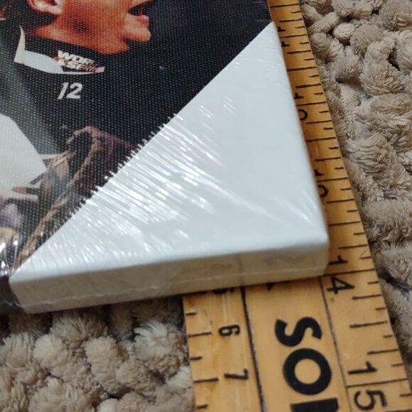 New Chicago White Sox Baseball 2005 World Series Champions Canvas Canvas Picture - Picture 8 of 9